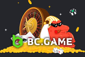 Comprehensive Guide and FAQ Stake