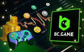 Comprehensive Guide and FAQ Stake