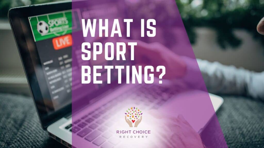 Top Casino Sites for High Rollers 3